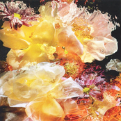 Intimations Of Glamour