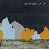 Willow Low by Archaster