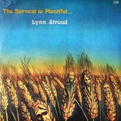 The Harvest Is Plentiful
