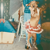 Sweet Tooth: Let It Bleed