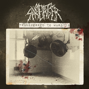 Archagathus / Meat Spreader