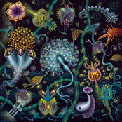 Bluetech: Elementary Particles