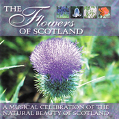 The Flower Of Portencross by The Scottish Fiddle Orchestra