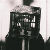 Booty Smashers / Hidden Cameras