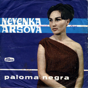 Paloma Negra