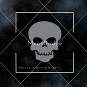 The Sun is Shining Bright