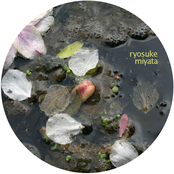 in a drainage outlet