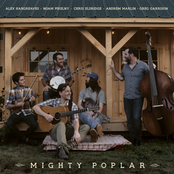 Mighty Poplar: Up on the Divide