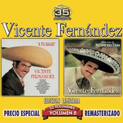 Que Bueno by Vicente Fernández