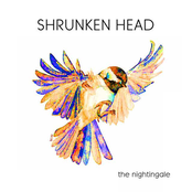 Shrunken Head: The Nightingale