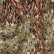 Together We Have Grown, Together We Shalll Bloom