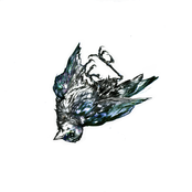 Bird Hospital