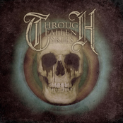 Through Fallen Skies