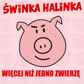 Więcej Niż Jedno Zwierzę