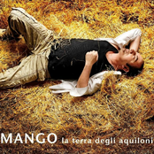 Il Pazzo by Mango