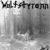 Aus Den Tiefen Dunkler Wälder...