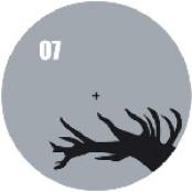 Platzhirsch - Function EP