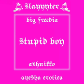Stupid Boy