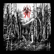 Ведьмин круг