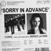 sorry in advance (feat. indigo la End)