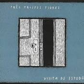 Visita de Estudo
