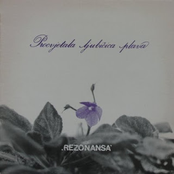 Procvjetala ljubičica plava