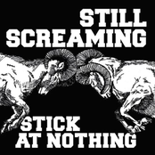 Stick At Nothing