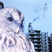 梟 by Plastic Tree