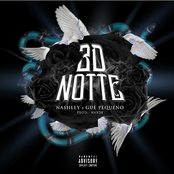 3D notte