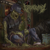 A Noxious Cumulation Of Tools For Auditory Extermination