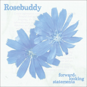 Forward-Looking Statements