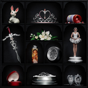 Where Strippers Go To Die