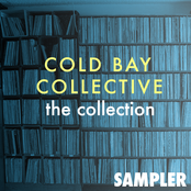 cold bay collective