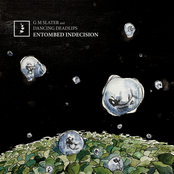 Entombed Indecision
