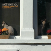 Not Like You (Volume 1: Gotta Love Yourself: midsummer madness celebrates itself)