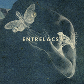 Entrelacs