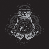 Silver Tongue Sisyphus