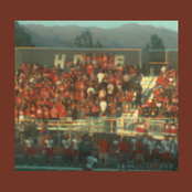 The Nirvana Fallacy (or, Mania and Her Sophomore Slump)