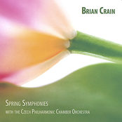 Piano Solo by Brian Crain