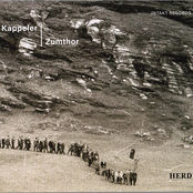 Herd