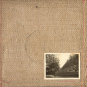 eucalypt/sophora split