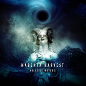 A Symposium Of Frost by Magenta Harvest