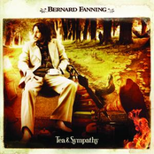 Wash Me Clean by Bernard Fanning