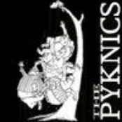 Domine by The Pyknics