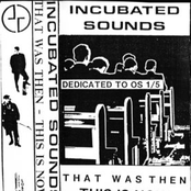 This Was Then This Is Now