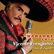 Vicente Fernandez Para Siempre
