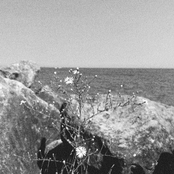 Bluhm: When You Come Over