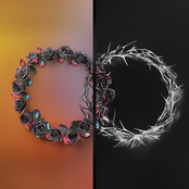 The Rose: DUAL
