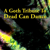 A Goth Tribute to Dead Can Dance