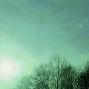 Orchid Mantis: It Was Gone